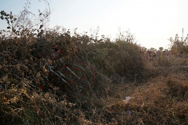 Những chiếc xe từng được cho thuê giờ chỉ nằm chỏng chơ tại Thượng Hải.