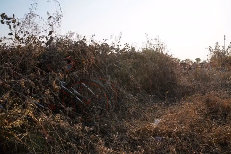 Những chiếc xe từng được cho thuê giờ chỉ nằm chỏng chơ tại Thượng Hải.