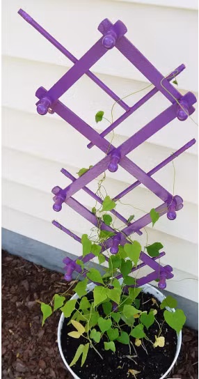 Nếu bạn thấy chiếc giá treo hình zig zag quá thừa thãi trong nhà thì hãy biến nó thành giàn trồng cây thân leo.