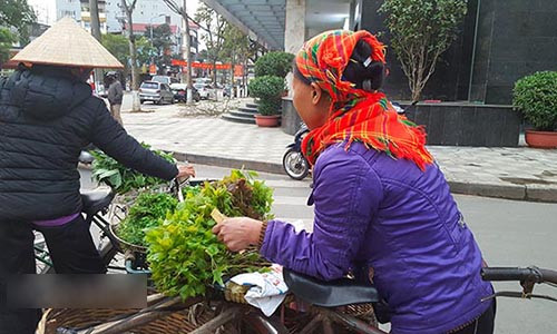 Những bó rau sau sau non mơn mởn được các cô, các chị người dân tộc mang xuống phố bán.