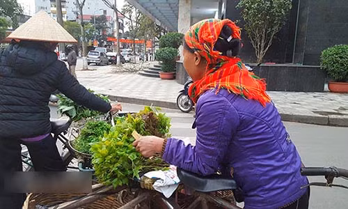 Những bó rau sau sau non mơn mởn được các cô, các chị người dân tộc mang xuống phố bán.