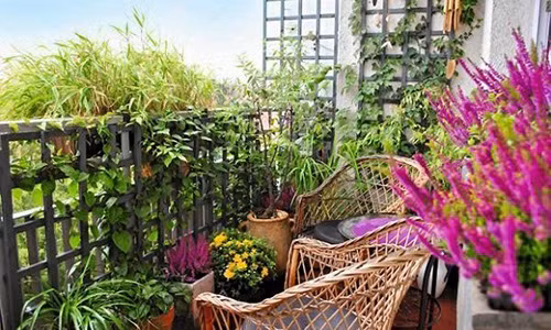 Dua nguoi tinh ve nha, bo giat minh truoc cau noi cua con trai