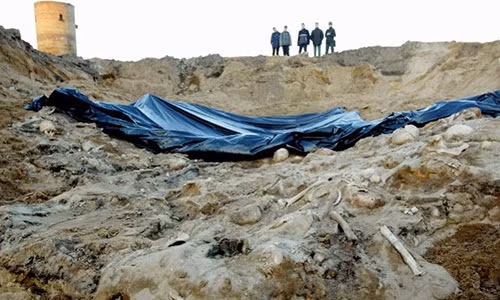 Khu mộ tập thể lính Pháp thời Napoleon được tìm thấy ở Lithuania.