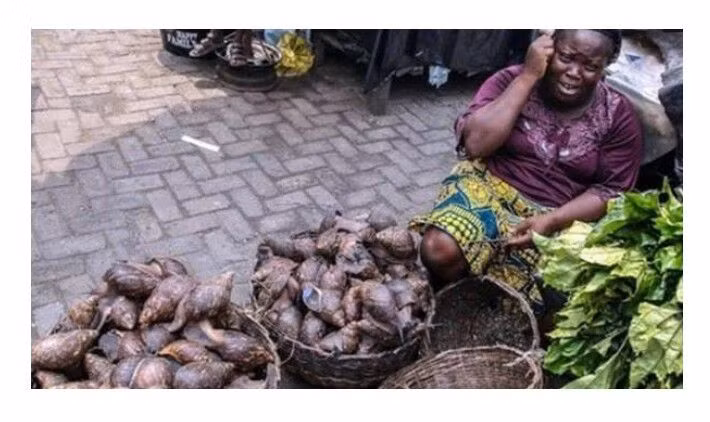 Đây là nguyên liệu nấu xanh – sạch được bày bán phổ biến ngoài chợ