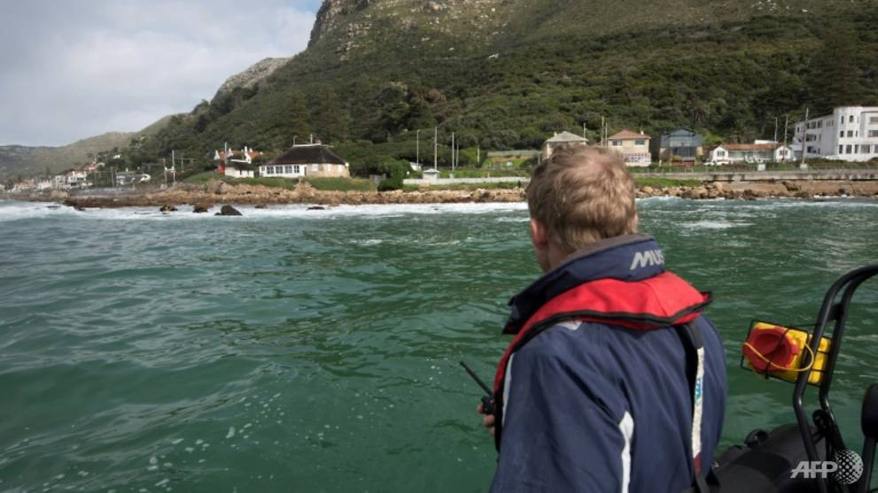 Tho lan Nam Phi lieu mang san tim bao ngu phuc vu thi truong TQ-Hinh-2