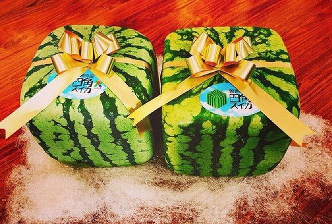 Dưa hấu vuông Nhật Bản có giá 4,5 triệu đồng/quả. Ảnh: Khúc Ngọc Anh.