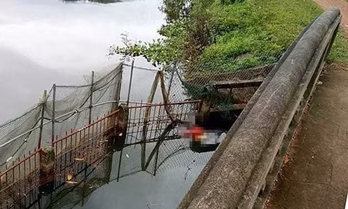 Thi thể người phụ nữ nổi trên mương nước.