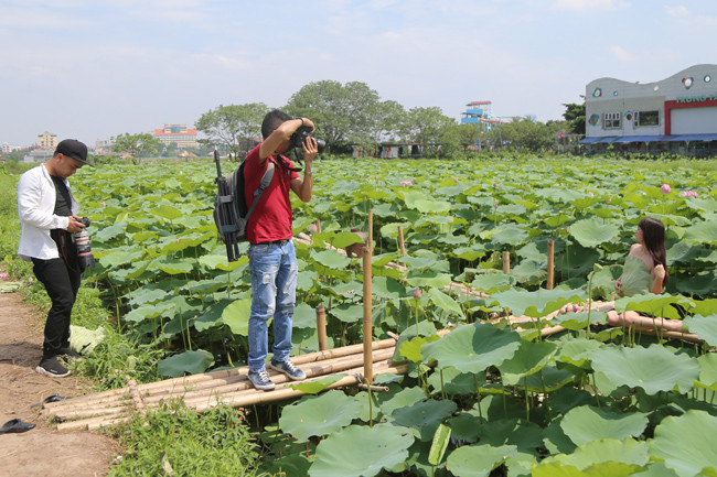 Mùa sen cũng là lúc để các thợ chụp ảnh thuê kiếm thêm thu nhập. Giữa trưa hè, đầm sen hồ Tây vẫn tấp nập nhiếp ảnh gia đội nắng, chụp ảnh cho các người đẹp. Bạn Nguyễn Duy Tuấn, thợ chụp ảnh tại Hà Nội cho biết: "Những ngày gần đây, rất nhiều bạn nữ gọi em đặt lịch chụp ảnh ở đầm sen hồ Tây. Có hôm phải chụp cho 3 nhóm, làm liên tục từ sáng sớm đến chiều muộn mới được nghỉ".