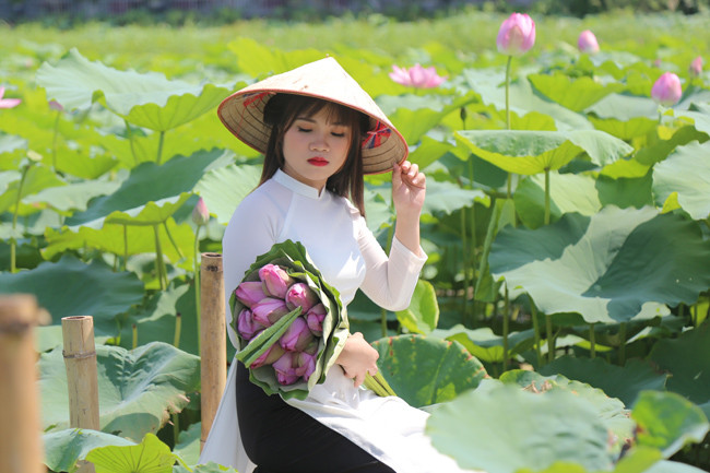 Với tà áo dài và chiếc nón lá, vẻ đẹp dịu dàng, thướt tha của người phụ nữ truyền thống tỏa sáng giữa đầm sen.