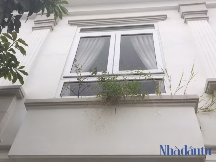 Bên ngoài tầng 2 của căn hộ HLV Park do lâu không ở nên đã có cỏ dại mọc.