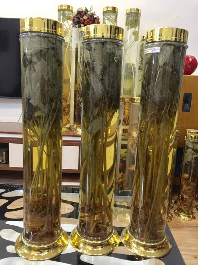 “Cũng hao tiền, tốn của và tốn biết bao công sức, thậm chí là phải đổ máu mới có được chúng. Đã nhiều lần hứa sẽ không sưu tầm nữa, nhưng rồi nó như cái vận bám lấy mình chú ạ” – anh Dương chia sẻ.