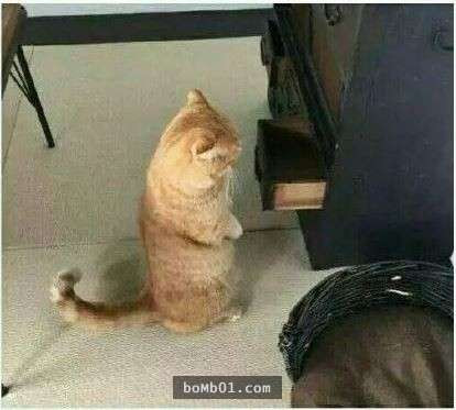 Khuôn mặt thẫn thờ vì thất vọng... Khuôn mặt thẫn thờ vì thất vọng...