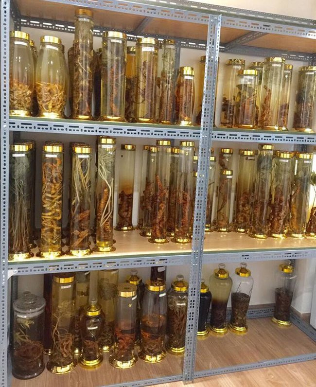 Lạc vào thế giới rượu sâm của đại gia Ngọc Dương, Hà Nội, ai cũng phải choáng ngợp.