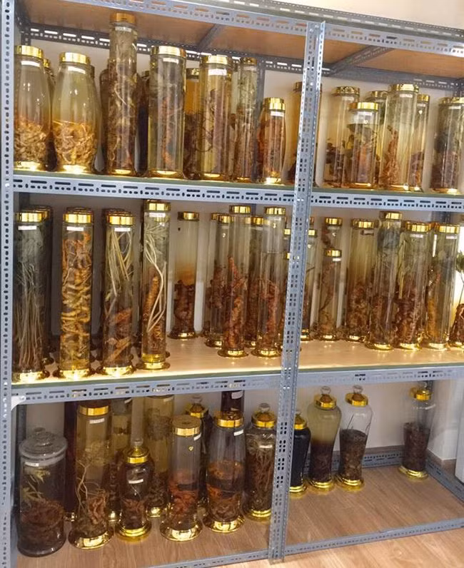 Lạc vào thế giới rượu sâm của đại gia Ngọc Dương, Hà Nội, ai cũng phải choáng ngợp.