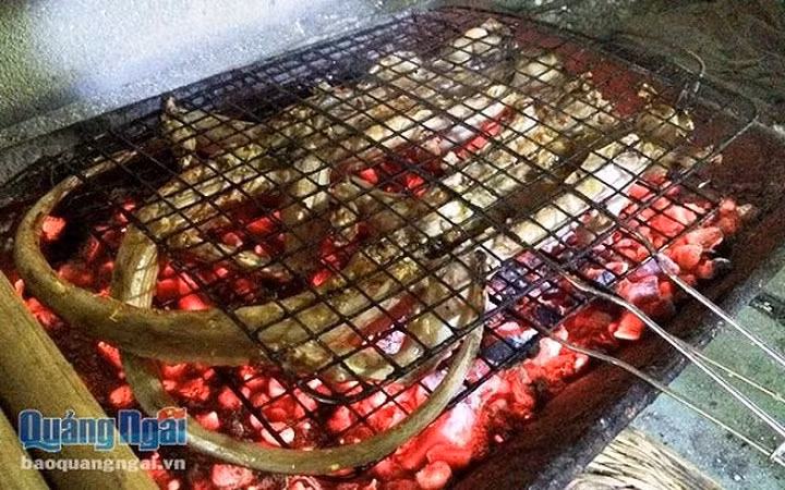 Kỳ tôm có thể chế biến thành nhiều món như nướng, xào lăn, băm làm chả, xào sả ớt... nhưng ướp muối ớt nướng trên bếp than vẫn là ngon nhất. (Báo Quảng Ngãi)