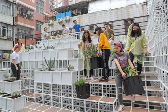 Quá trình dựng nền móng cho một khu vườn thượng.