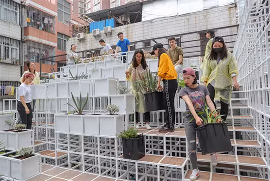 Quá trình dựng nền móng cho một khu vườn thượng.