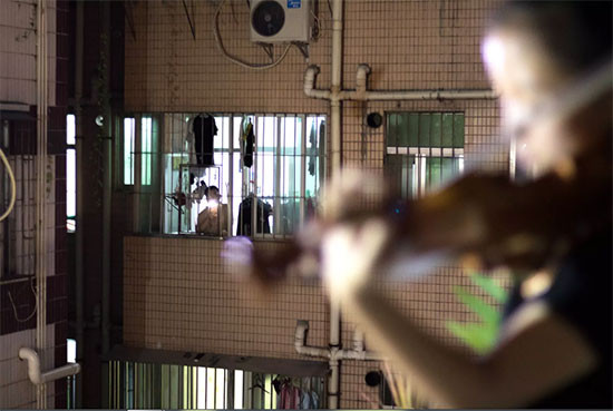 Những khu vườn trên sân thượng là một sáng kiến xanh, nhưng đồng thời cũng có thể trở thành một ''kế sinh nhai'' cho cư dân đang sống trong những môi trường dày đặc như tại Thâm Quyến.