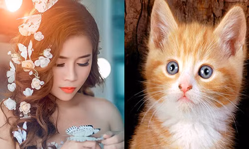 Top 4 con giap thien luong, kho khan qua nhanh thoi