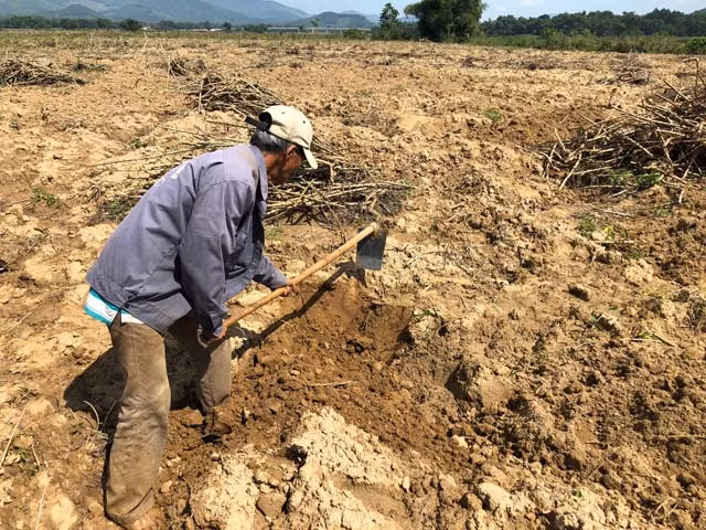 Gọi là săn cho oách chứ dụng cụ để đào bắt loại đặc sản này chỉ gồm: cây cuốc và xô, chậu có đổ ít nước để đựng là được. Anh Nguyễn Văn Tân (40 tuổi), người dân ở Hành Tín Tây, giải thích: "Không như các con vật khác, sùng đất đào bắt được phải bỏ vào xô có nước, nếu không thì sẽ bị đen và mau bị hỏng".