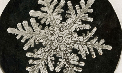 Những bức ảnh bông tuyết đầu tiên.