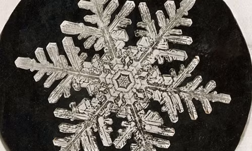 Những bức ảnh bông tuyết đầu tiên.