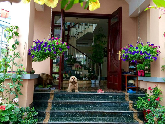 Nhờ đó, nữ ca sĩ đã có đủ tiền gửi về cho bố mẹ xây sửa lại nhà. Bố mẹ Bích Phương sống tại quê nhà ở Hạ Long, Quảng Ninh. Căn nhà khang trang, có nhiều cây xanh và hoa tươi trồng trước nhà. Vì bố mẹ cô đều yêu thích cây xanh nên để một mảnh đất trước nhà trồng hoa.