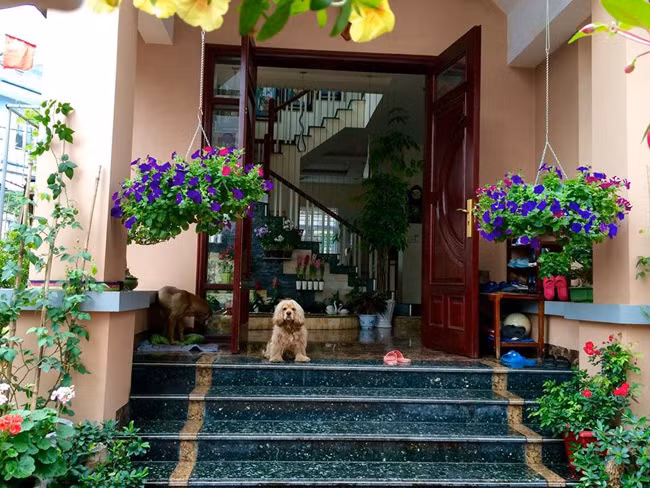 Nhờ đó, nữ ca sĩ đã có đủ tiền gửi về cho bố mẹ xây sửa lại nhà. Bố mẹ Bích Phương sống tại quê nhà ở Hạ Long, Quảng Ninh. Căn nhà khang trang, có nhiều cây xanh và hoa tươi trồng trước nhà. Vì bố mẹ cô đều yêu thích cây xanh nên để một mảnh đất trước nhà trồng hoa.