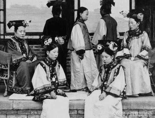 He lo cuoc doi cay dang khac xa phim cua cac Cach Cach trieu Thanh-Hinh-2