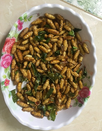 Đặc sản nhộng tằm rang lá chanh được rất nhiều du khách gần xa ưa chuộng, khi đặt chân đến tỉnh Sơn La du lịch