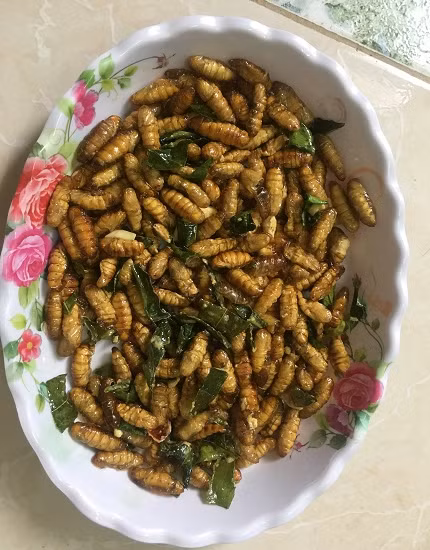 Đặc sản nhộng tằm rang lá chanh được rất nhiều du khách gần xa ưa chuộng, khi đặt chân đến tỉnh Sơn La du lịch Đặc sản nhộng tằm rang lá chanh được rất nhiều du khách gần xa ưa chuộng, khi đặt chân đến tỉnh Sơn La du lịch