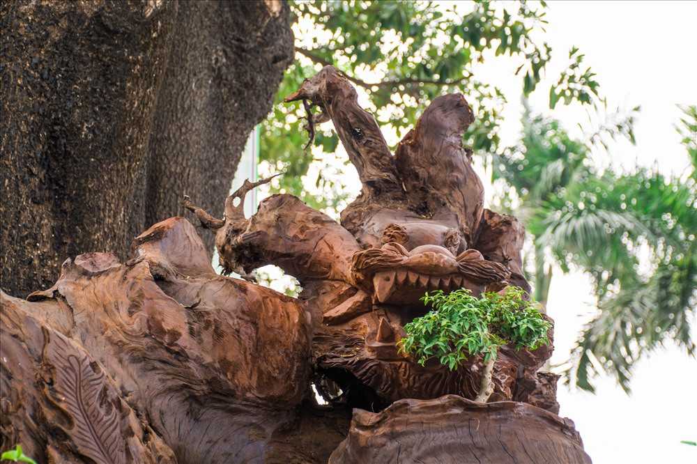 Anh Thịnh đã điêu khắc các biểu tượng tứ linh: Long, lân, quy, phượng... Theo anh Thịnh, cái khó của tác phẩm là phải làm sao toát lên thần thái của từng con vật đồng thời kết hợp với hình ảnh các cây bon sai, tạo nên một tổng thể hài hòa, đẹp mắt.
