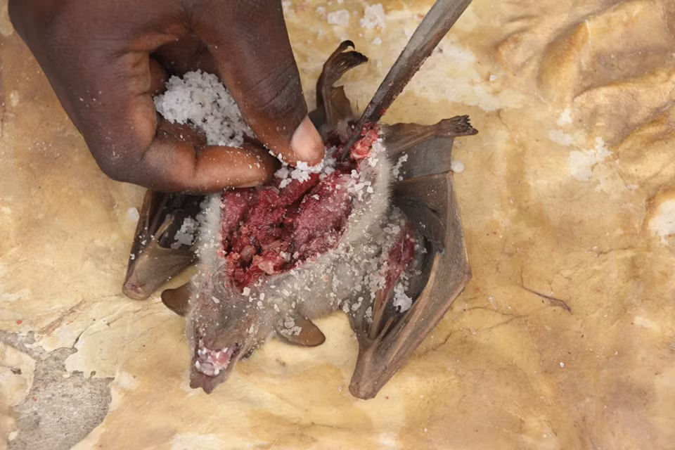 Trong khi đó, bùa dùng cho các vận động viên điền kinh cần đầu, tim và 4 chân của ngựa.