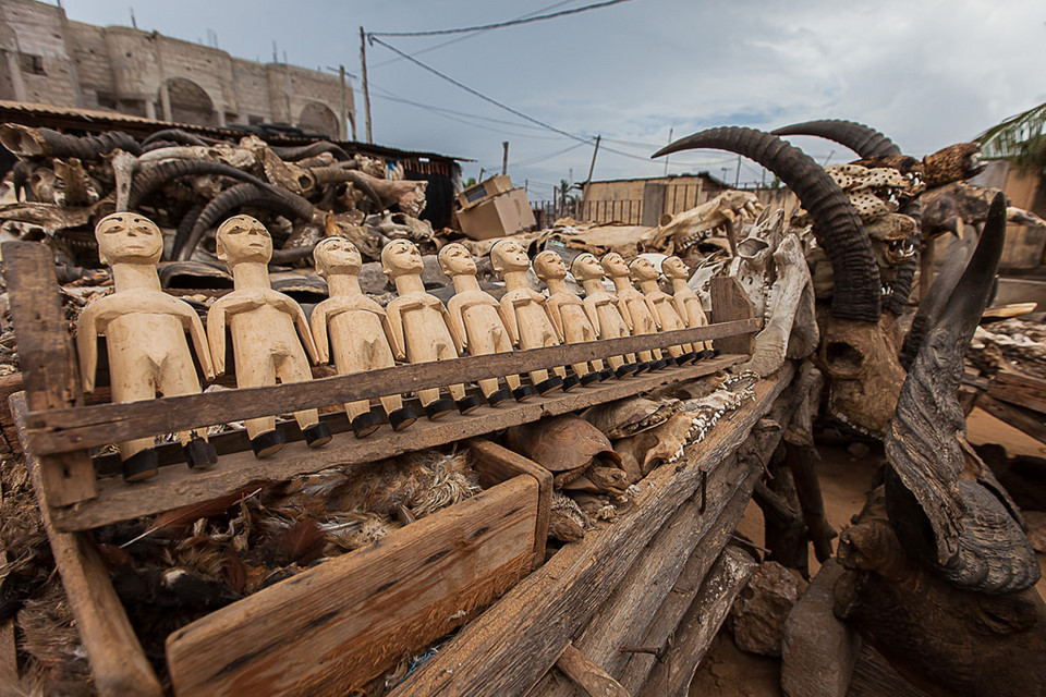 Các cặp vợ chồng không thể có con, cầu thủ muốn làm nên điều kỳ diệu trong trận đấu bóng đá, vận động viên muốn chiến thắng trong cuộc chạy đua marathon... tất cả đều có thể sử dụng loại bột này.