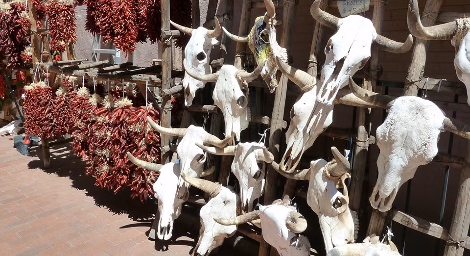 Người ta không chỉ dùng những món hàng trong chợ vào các nghi lễ cúng bái mà còn để chữa bệnh. Từ xa xưa, người dân ở một số quốc gia như Togo, Ghana hay Nigeria rất tín các loại tà thuật. Họ tin rằng việc kêu ma, gọi quỷ có thể giải quyết mọi vấn đề khó khăn. Bùa chú có thể chữa bách bệnh.