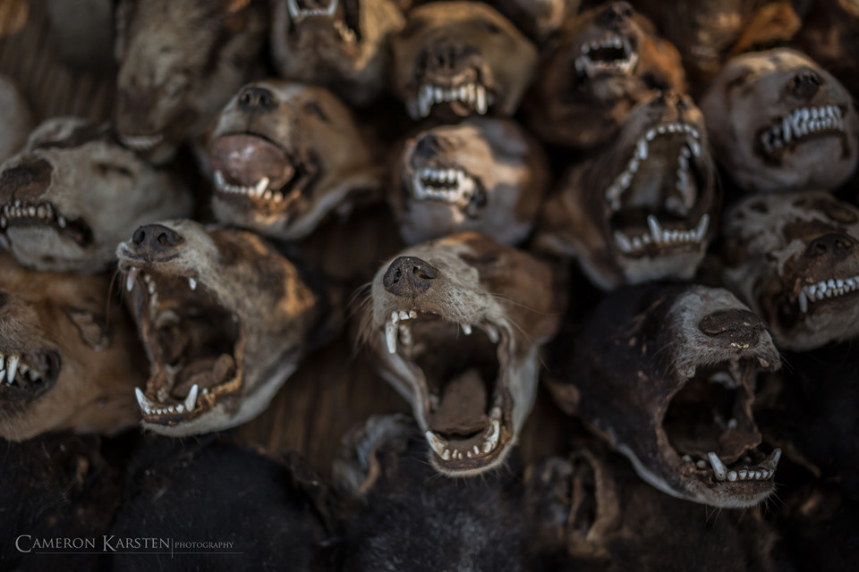 Ngay cả khi không có ý định mua đồ, các vị khách vẫn bất giác bước vào khu chợ Akodessewa Fetish và đắm chìm với các mặt hàng đầy ma lực.