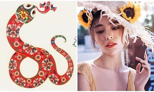 Chính những mối quan hệ đó đã mang lại may mắn về công việc và tài vận cho con giáp này. Người tuổi Tỵ có thể ung dung chờ đón những tin vui về tiền bạc và sự nghiệp liên tiếp kéo đến. Ảnh minh họa.