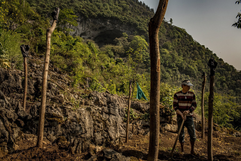 Vương Tề Tài, 39 tuổi, nói những người trẻ của làng có thể đi đến các thành phố lớn làm công nhân nhưng nhiều người quay về đây để xây dựng gia đình. "Thời tiết trong hang thật sự tuyệt vời. Như ở thiên đường vậy", anh nói.