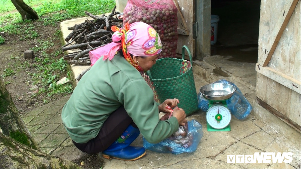 Hiện, giá mận xanh được thương lái thu mua khoảng 50.000 đồng/kg.