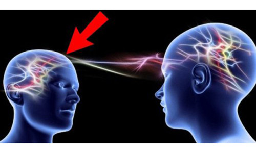 Não bộ của chúng ta có khả năng kết nối vô tuyến với nhau như sóng wifi để tạo ra trực giác.