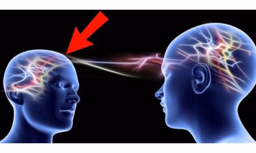 Não bộ của chúng ta có khả năng kết nối vô tuyến với nhau như sóng wifi để tạo ra trực giác.