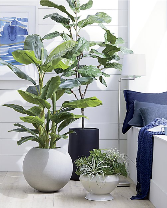 Mẫu bình có màu sắc và kiểu dáng đơn giản như thế này rất phù hợp với không gian nhà hiện đại.