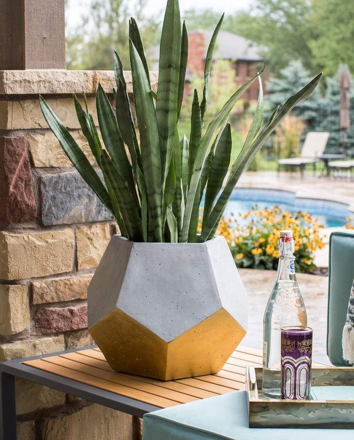 Bình gốm hình đa giác, điểm xuyết màu vàng rất thích hợp để trồng những loại cây có lá dài như cây lưỡi hổ.