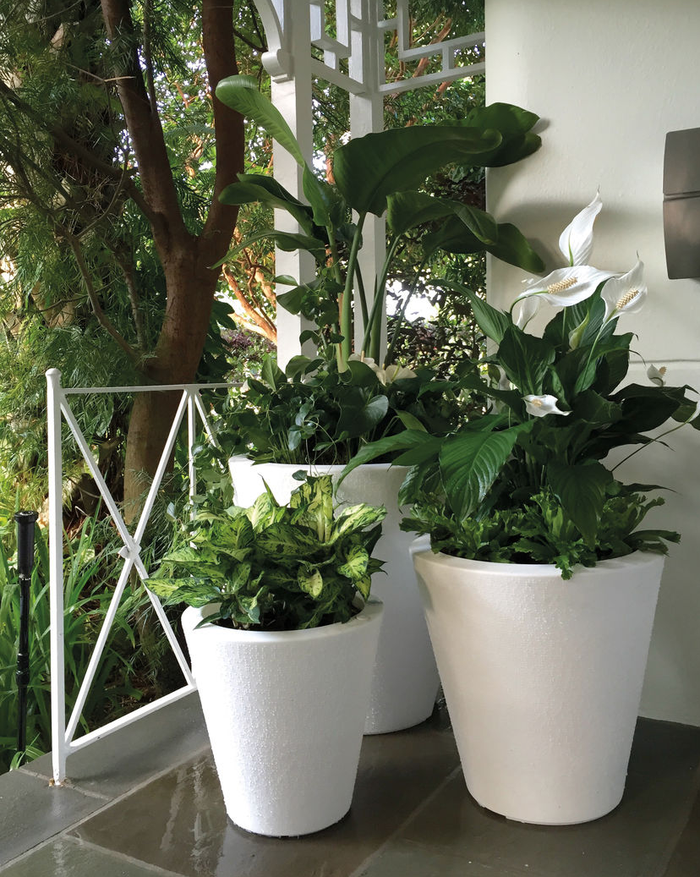 Loại bình này có khả năng tự tưới và phân bố đều nước trong toàn bộ chậu. Bạn sẽ ít phải lo lắng đến chuyện tưới cây khi trồng cây trong loại bình này.