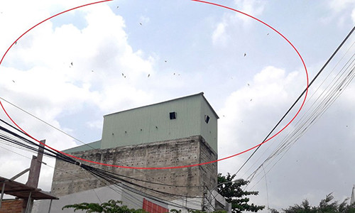 Một nhà nuôi chim yến ở phường An Hòa (TP.Rạch Giá) gây bức xúc cho hộ dân xung quanh. Ảnh: Trần Tuấn.