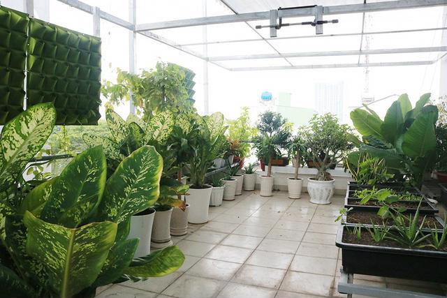 Tầng thượng được trồng nhiều cây cảnh và rau xanh mát mắt - Ảnh: Internet