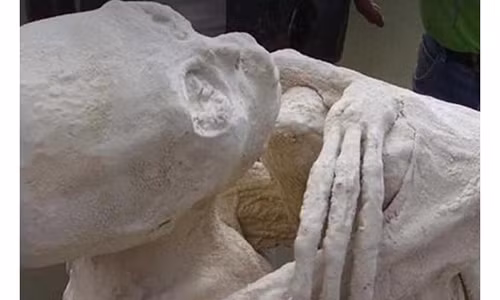 Xác ướp với hộp sọ kéo dài, tay chân đều có ba ngón làm dấy lên suy đoán đây có thể là thi thể của người ngoài hành tinh. Ảnh: Daily Mail