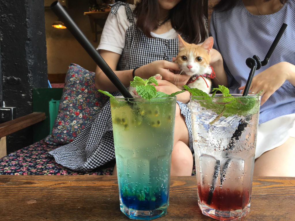 Nếu bạn cần một địa điểm để tạm nghỉ xả hơi sau khi ăn hơi no thì Nhà Gỗ sẽ là lựa chọn hợp lý dành cho bạn. Nằm ngay gần mặt hồ Văn Quán, quán được decor theo style bohemian pha chút vintage với rất nhiều góc sống ảo và view cực đẹp hướng thẳng ra hồ. Các món đồ uống của quán cũng rất rẻ nhưng không kém phần chất lượng và đẹp mắt. Địa điểm: Nhà Gỗ - Số 20BT1B – Khu đô thị Văn Quán – Hà Đông. Mức giá: 35.000đồng/người