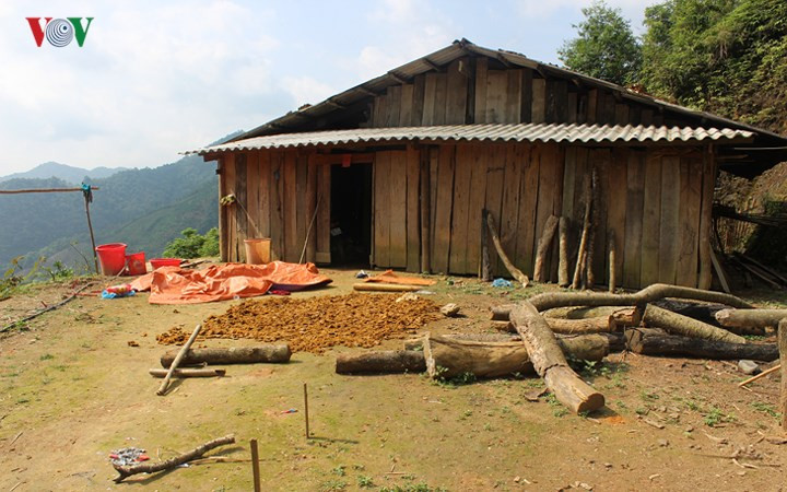 Theo kết quả đấu tranh khai thác ban đầu, nguyên nhân của vụ việc được cho là do Khánh muốn cưỡng hiếp chị Phương nhưng bị chị Phương chống cự nên nghi phạm đã ra tay sát hại chị Phương và 3 người nhà của nạn nhân.