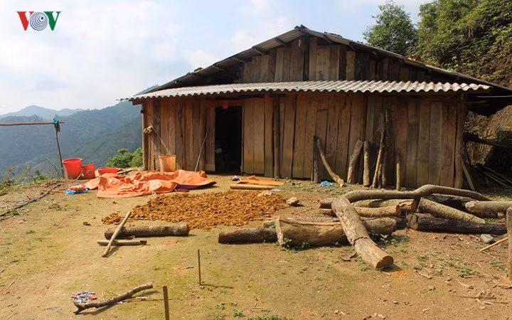 Theo kết quả đấu tranh khai thác ban đầu, nguyên nhân của vụ việc được cho là do Khánh muốn cưỡng hiếp chị Phương nhưng bị chị Phương chống cự nên nghi phạm đã ra tay sát hại chị Phương và 3 người nhà của nạn nhân.